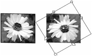 Image from book