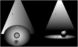 Image from book
