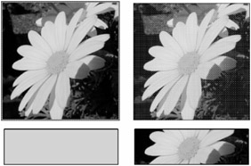 Image from book