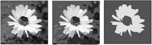 Image from book