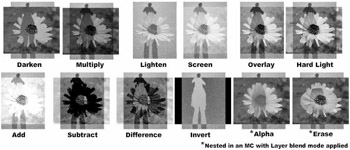 Image from book