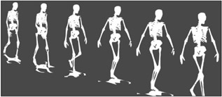 Image from book