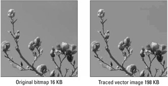 Image from book