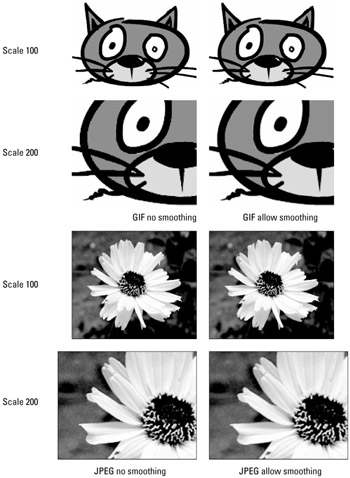 Image from book