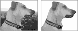 Image from book