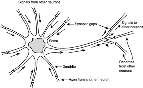 graphics/12fig30.gif