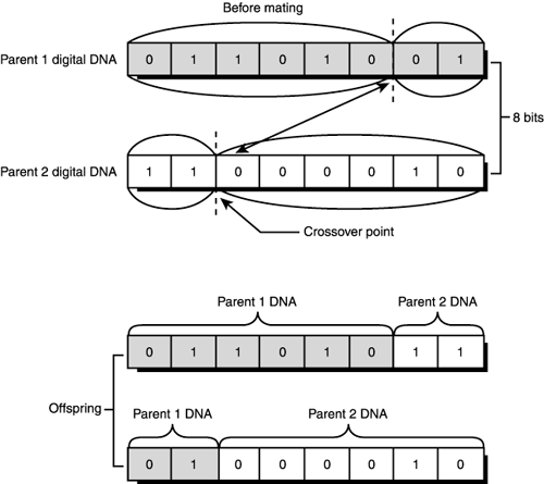 graphics/12fig34.gif
