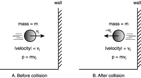 graphics/13fig10.gif