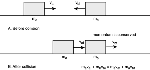graphics/13fig11.gif