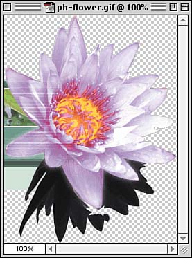 graphics/10fig05.jpg