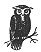 owl.gif