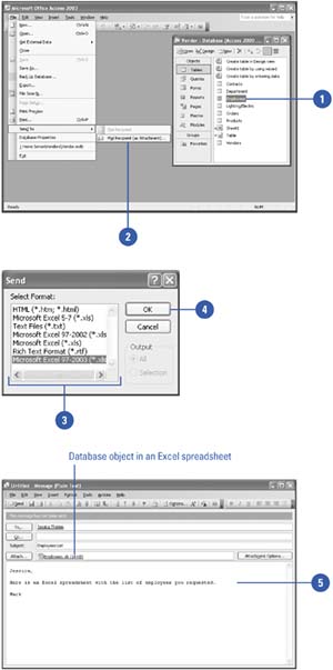 graphics/11inf12.jpg