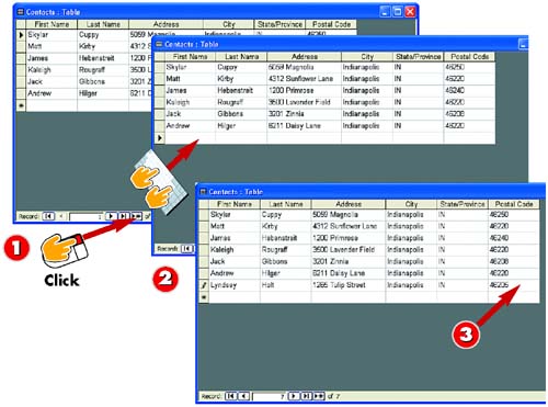graphics/03inf08.jpg